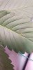 20220618_062956.jpg