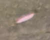 1655569342224.png