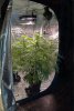 DSC01508a.jpg