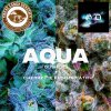 Aqua.jpg