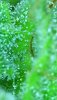 2022_06_29_19_04_41_646.jpg