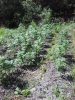 20160503_002718.jpg