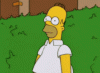 homer.gif