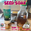 seed-soak-0722.png