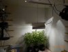 NewSpace120722A.JPG