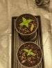 PXL_20220712_181720034.jpg