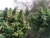 20200911_185603.jpg