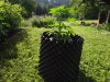 DSC05556.JPG