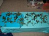DSC01610.jpg