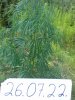 20160603_014058.jpg