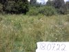 20160526_010240.jpg 20160526_010240.jpg