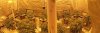 received_1124585341429531.jpeg
