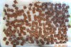 CBDchocoFirstBatch200622A.JPG CBDchocoFirstBatch200622A.JPG