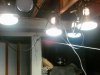 Plant Lights.jpg