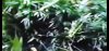 Screenshot_20220813-185538_Gallery.jpg