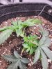 20220815_073555.jpg