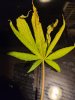 20220823_021031.jpg 20220823_021031.jpg