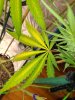 20220823_015057.jpg 20220823_015057.jpg