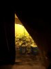 grow room 3.jpg