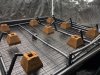 IMG_8559v2.jpg