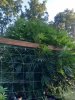 20220826_190528.jpg