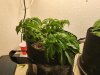 20220906_104705.jpg