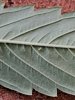 20220906_134450.jpg