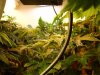 DSC02465.jpg