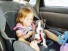 Rosey and sky..jpg