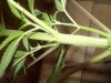 000_0020.jpg