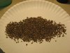 IMG_1006.jpg
