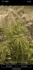 Screenshot_20220925-193745.png