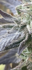 B0258EF9-3166-49BD-B499-402763ACFE94.png