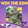Win The Sin.png Win The Sin.png