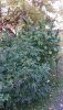 20221010_145859.jpg