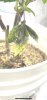 CDFA1217-AA46-4648-A415-A9C539D24CF8.jpeg