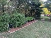 49932338-42F5-4912-BAFC-D29E1236D734.jpeg