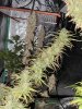 2B749958-588C-497B-A6D7-D2E331DA9001.jpeg