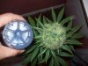 100_1479.jpg