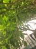 20221120_203933.jpg