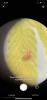 314749CA-5702-4884-A634-617C452AEFC8.png