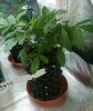 _20221206_205303.JPG