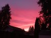 20221123_164622.jpg