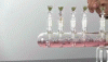 81E44137-7A18-4E0F-B3A9-8B55A182A8BC.gif