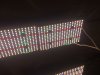 BF311C5D-7417-431B-8766-D28F4665702B.jpeg