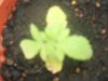 DSCF1640.jpg