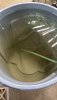IMG_8923.jpeg IMG_8923.jpeg