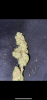 0C781BAF-B242-4888-BA56-42279D57CCF4.png 0C781BAF-B242-4888-BA56-42279D57CCF4.png
