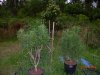 DSCN3389.JPG