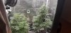 20230127_115936.jpg